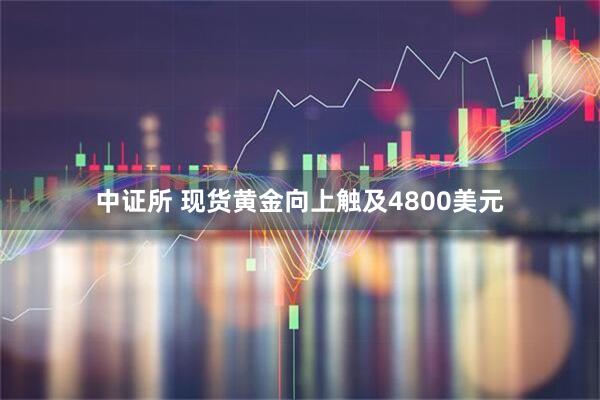 中证所 现货黄金向上触及4800美元