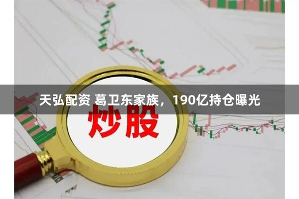 天弘配资 葛卫东家族，190亿持仓曝光